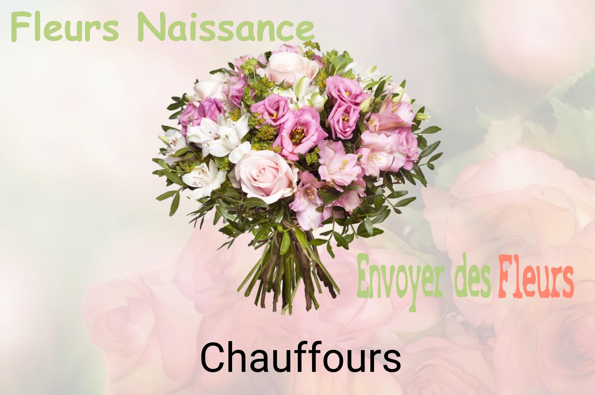 Bouquet de fleurs de naissance livré à Chauffours