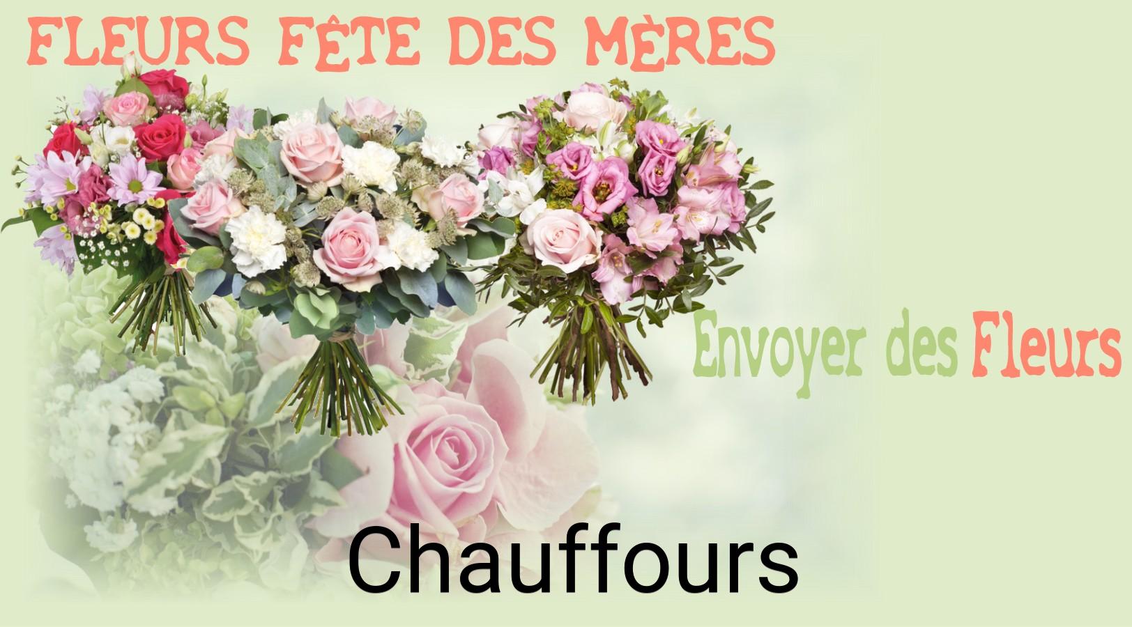 Bouquet de Fête des Mères livré à Chauffours
